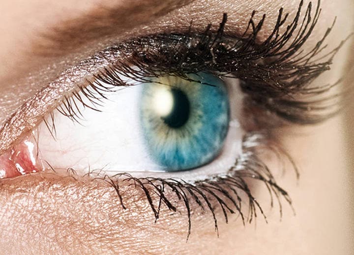 Eyeball closeup